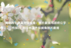 揭秘和平精英外挂视角：图片截屏与游戏公平性探讨_和平精英外挂视角图片截屏
